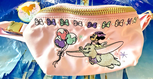 Disney parks 2026 stoney - disney,